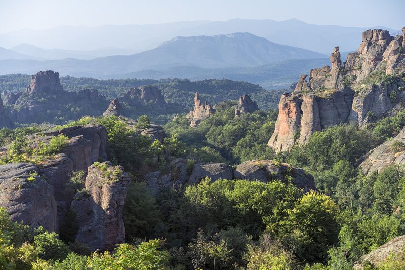 In the Morning Light фото превью