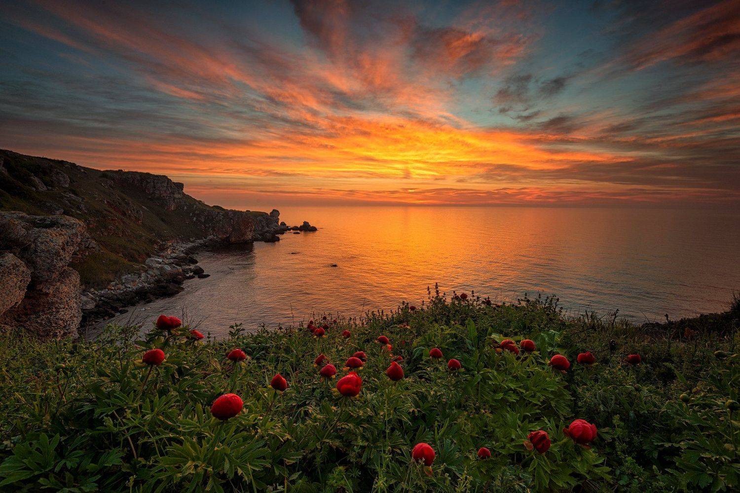 , Весела Маринова