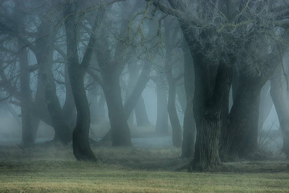 , Валерий Кондратов