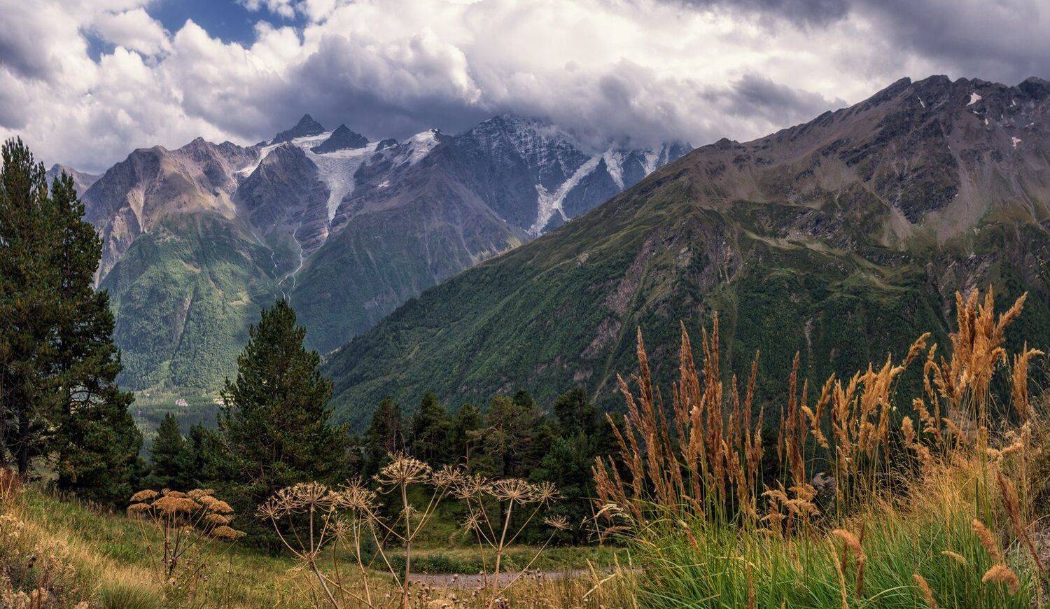 , Игорь Мелекесцев