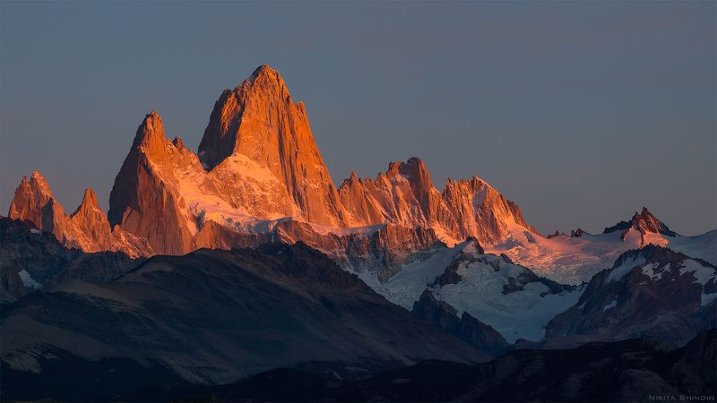 Алый Фицрой фото превью