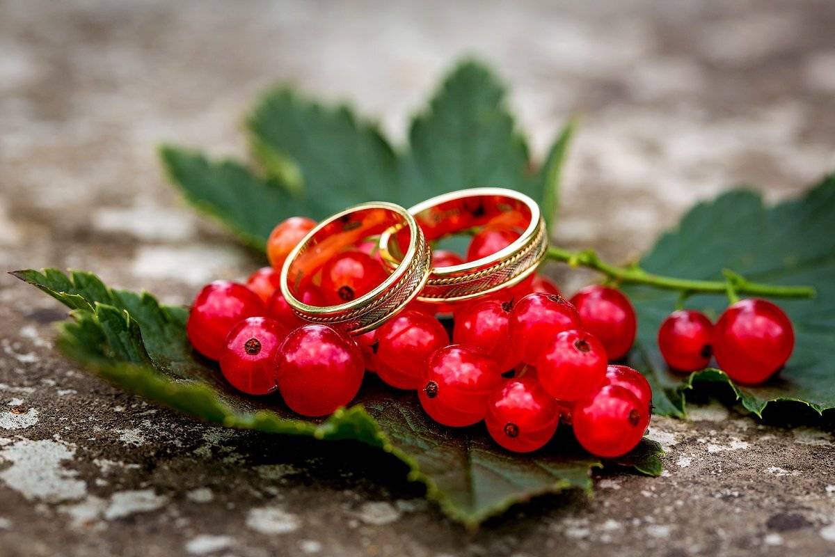 свадебная прогулка, свадьба, жених, невеста, любовь, love story, кольца, mdmmikle, Латвия, Рига, Михаил Маслов