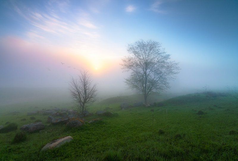 Потерянные в тумане фото превью