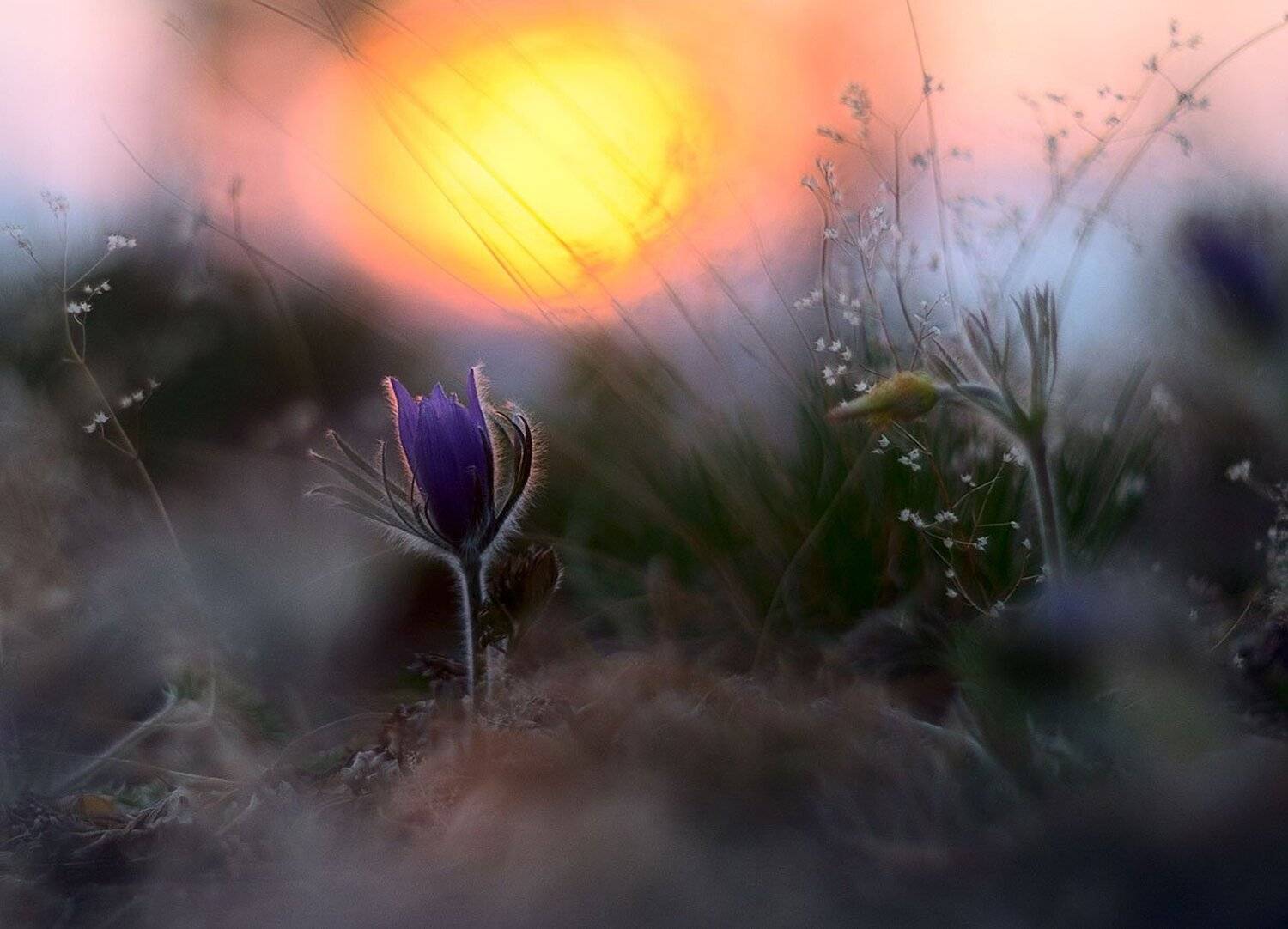 , Сергей Брагин