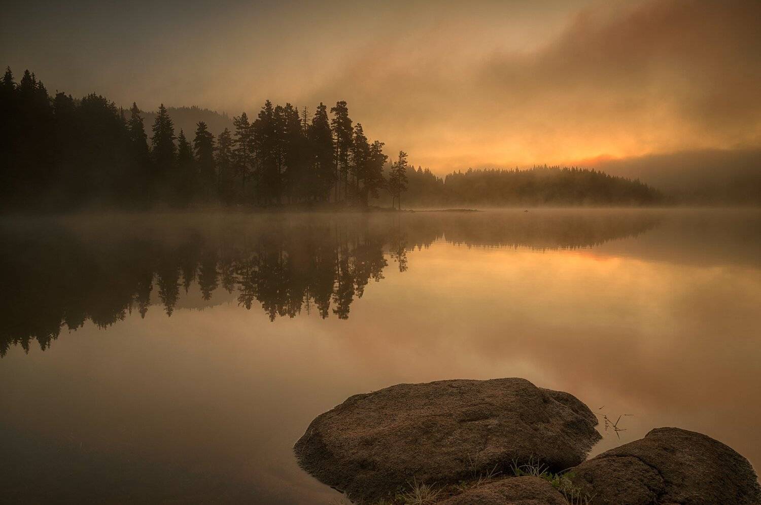 , Весела Маринова