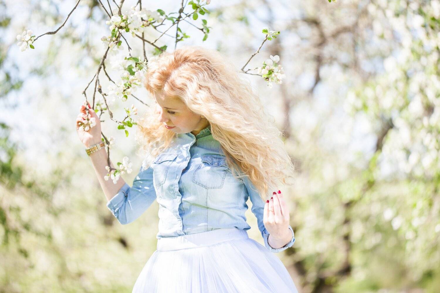 , Алексей Пирязев