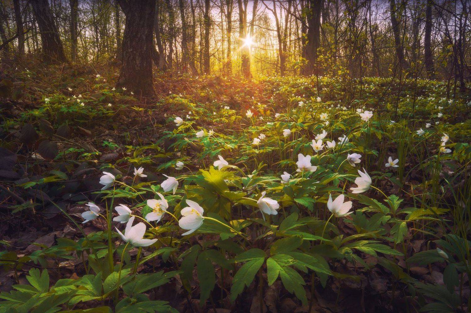 , Виталий Башкатов