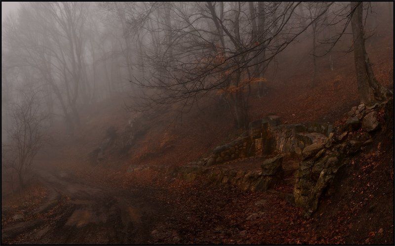 К роднику на Демирджи фото превью