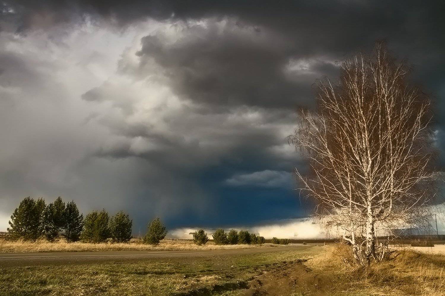 , Николай Морский