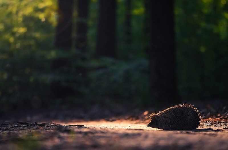 Встреча фото превью