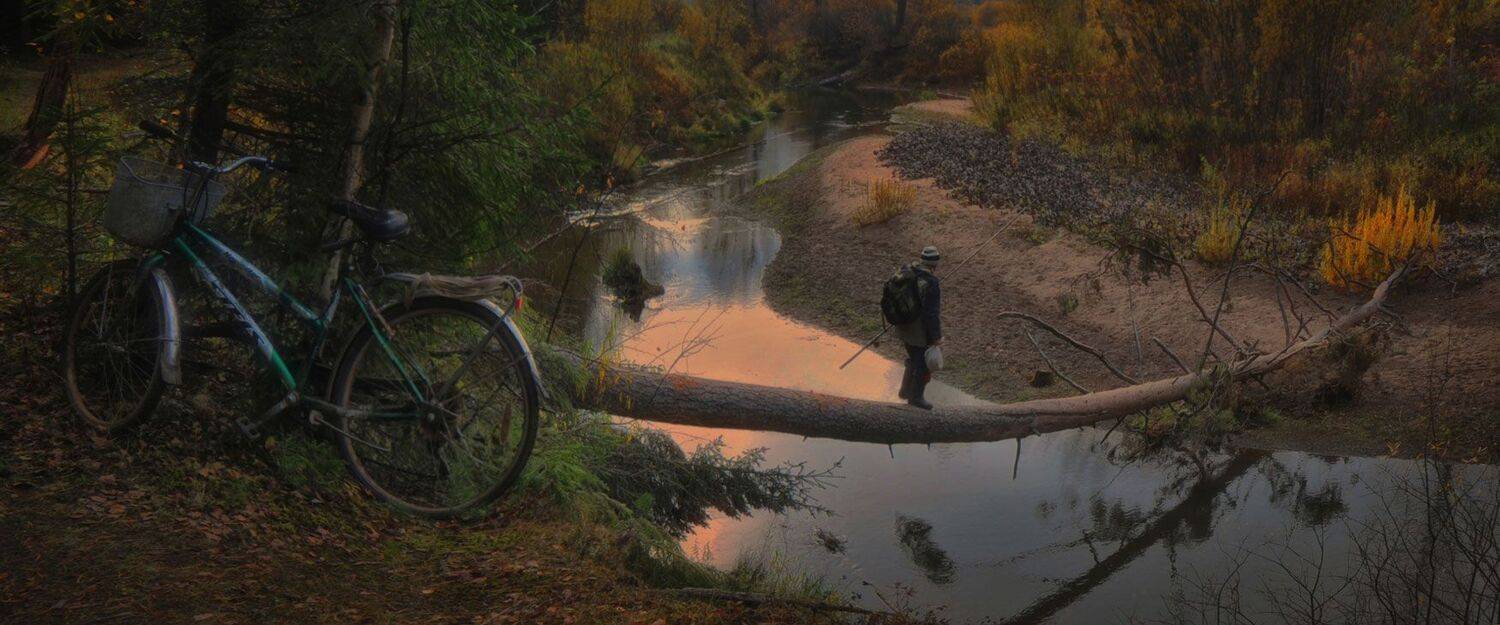 мурыгино, Владимир