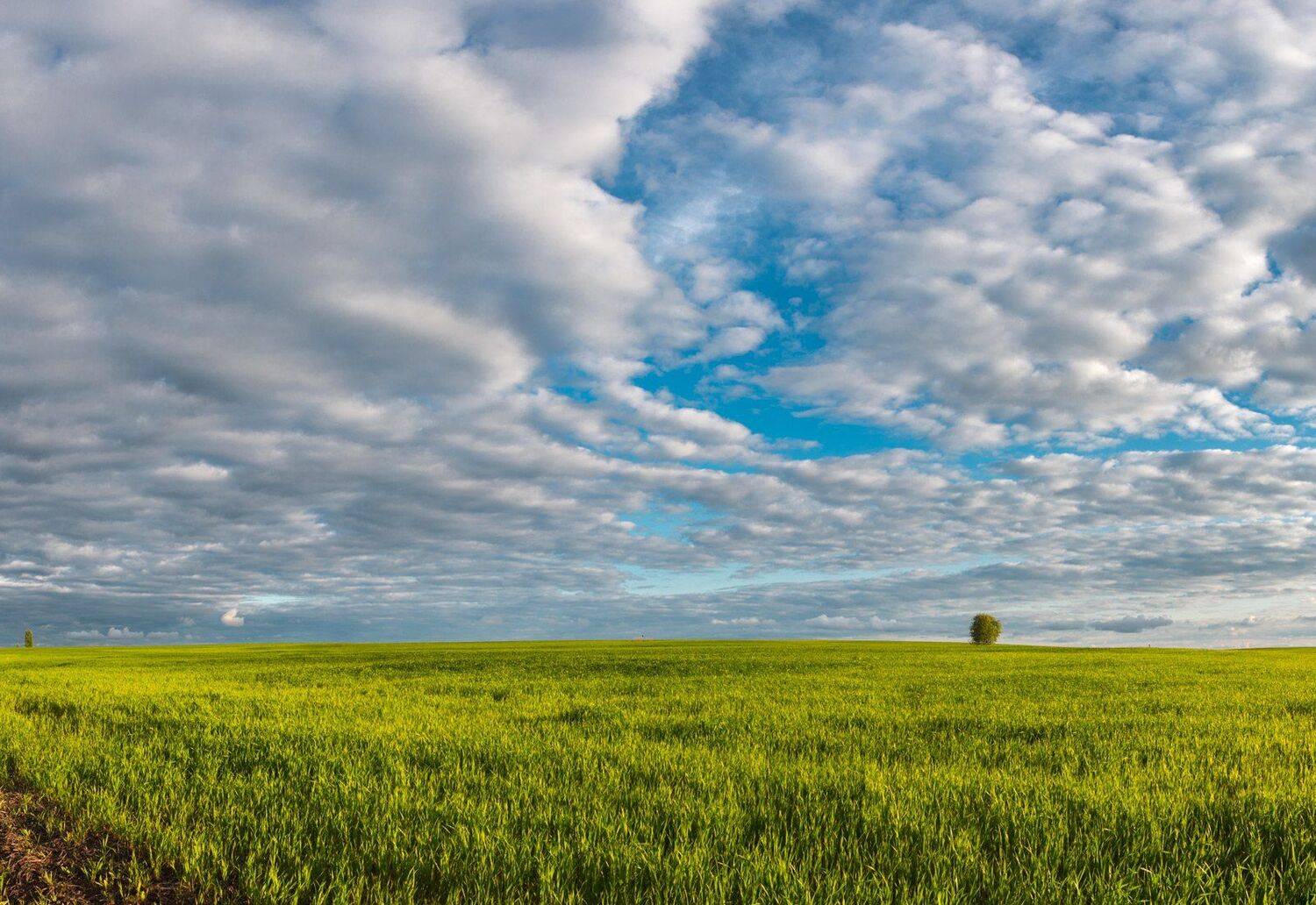 , Александр