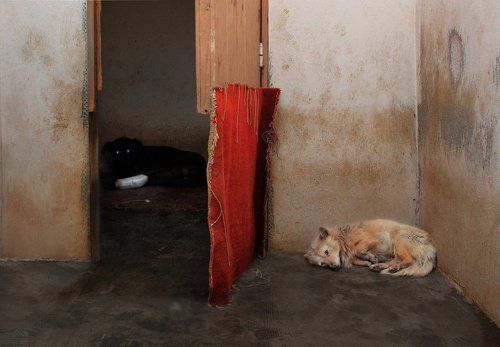 Дом  разбитых сердец