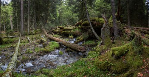 река Бадук...