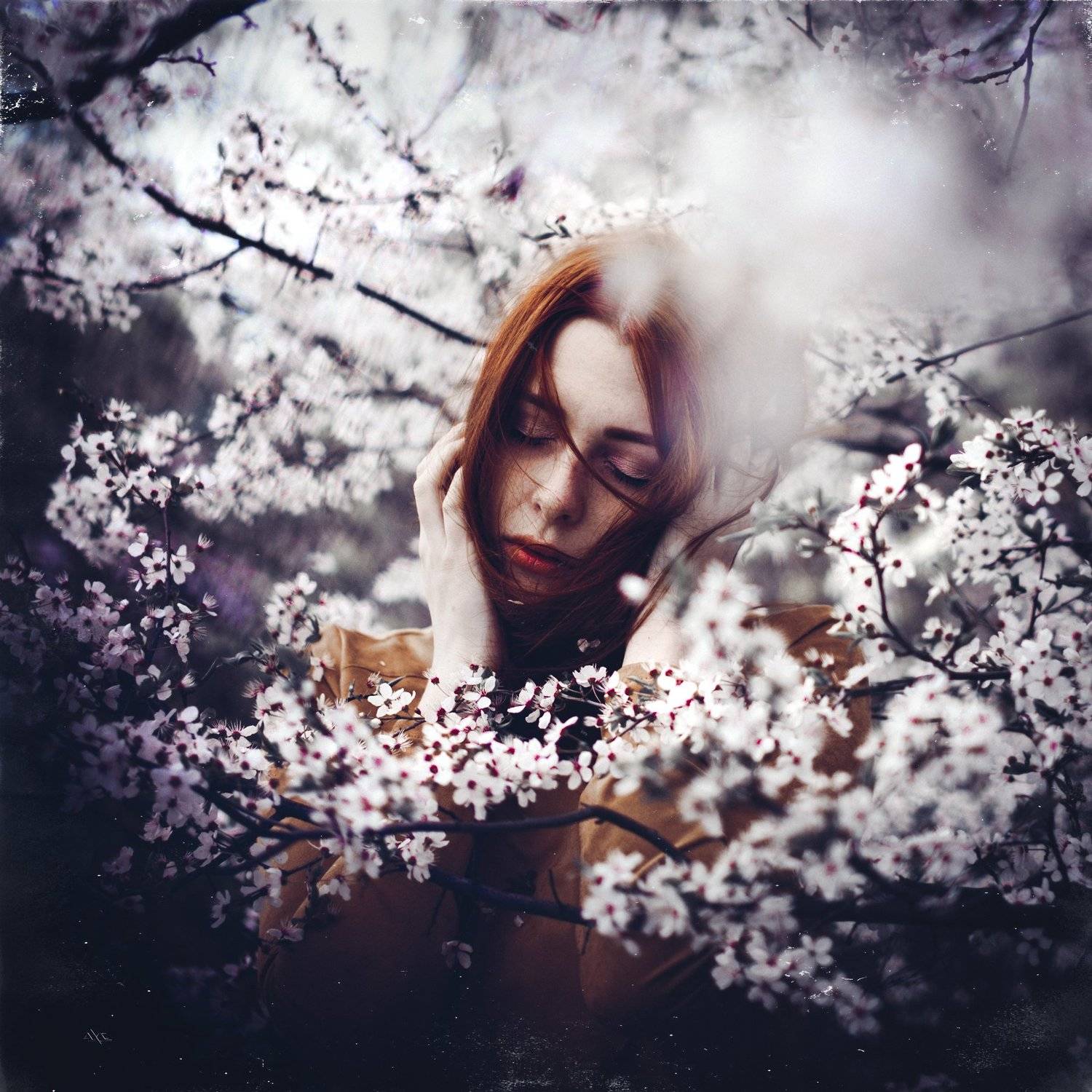 Beauty, Blooming, Portrait, Woman, Руслан Болгов (Axe)