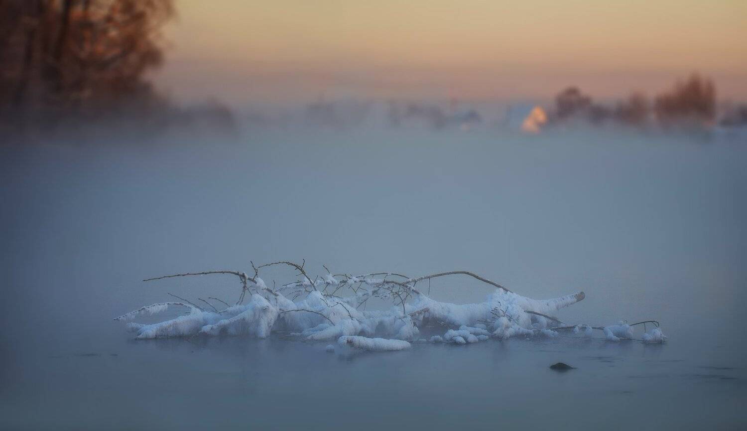 , Художников Павел