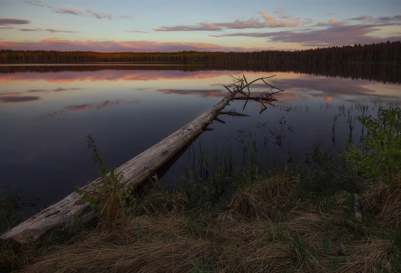 Жизнь после жизни фото превью