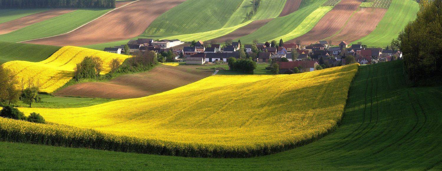 , Алексей Угальников