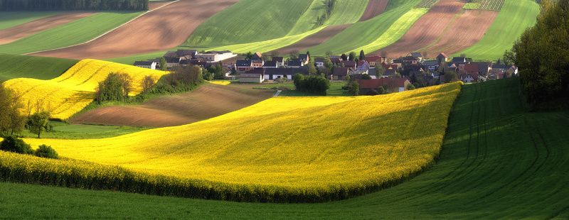 Как австрийцы золото выращивают ) фото превью