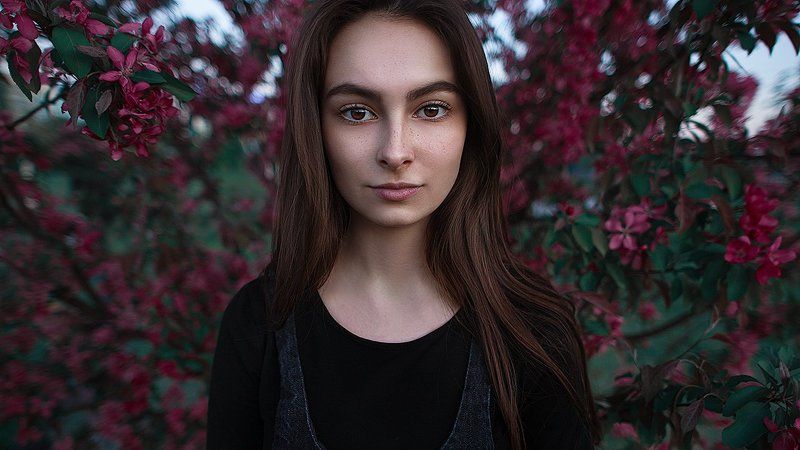 Serenity фото превью