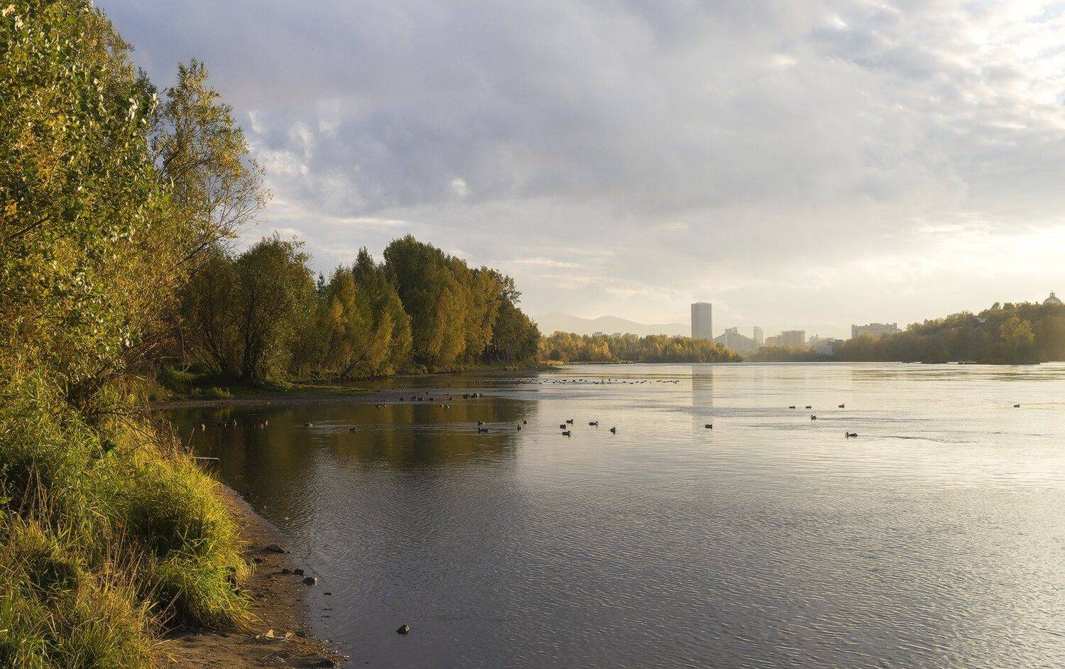 , Лещёнок Александр