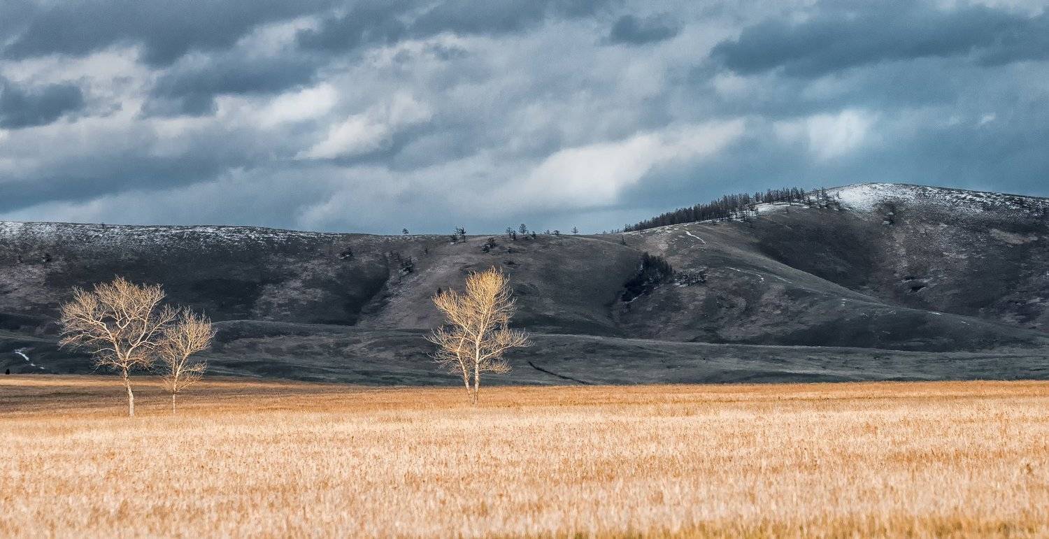 Горы, Деревья, Пейзаж, Сибирь, Снег, Степь, Хакасия, Дмитрий Дубиковский