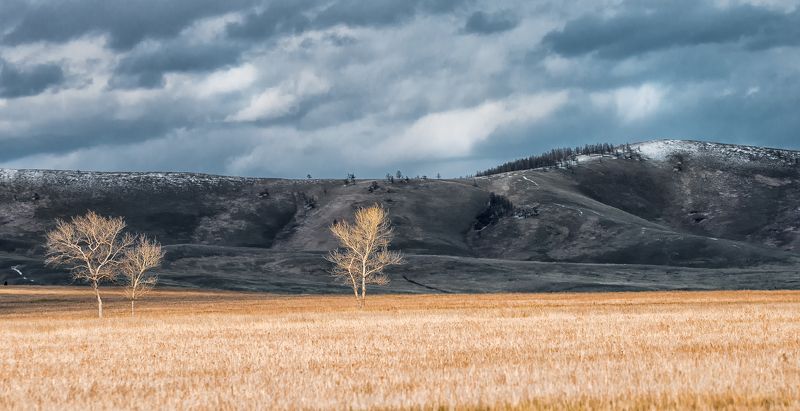 Горы, Деревья, Пейзаж, Сибирь, Снег, Степь, Хакасия Последний снег фото превью