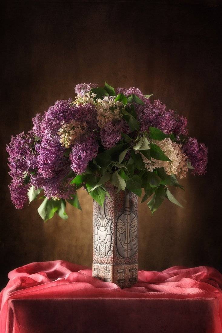 , Ирина Пажаева