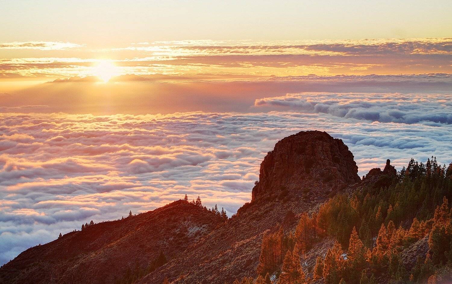 , Исаков Дмитрий