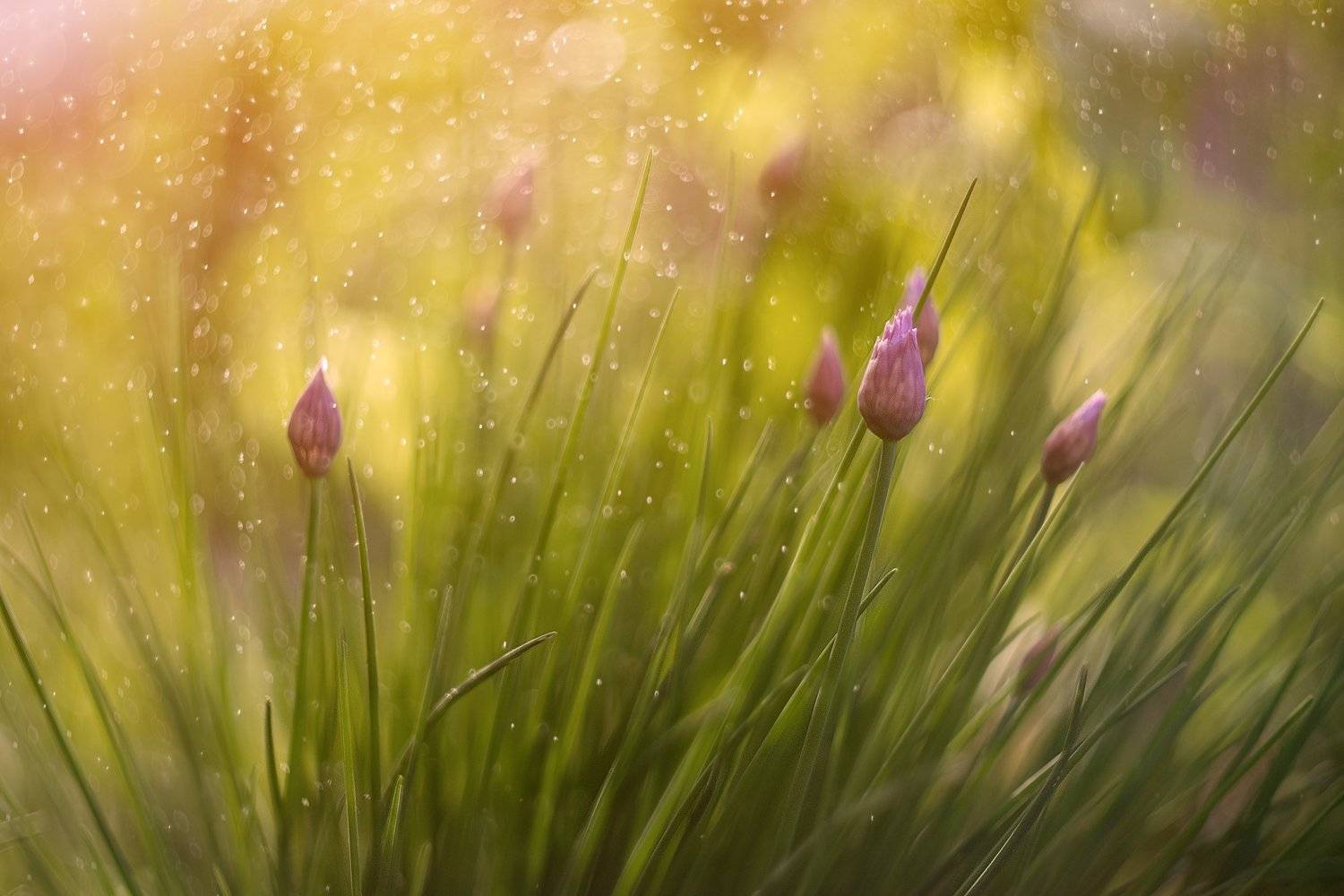 , Эльдар Гуртуев