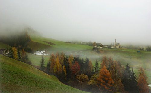 Туманы Одуванчиковой долины
