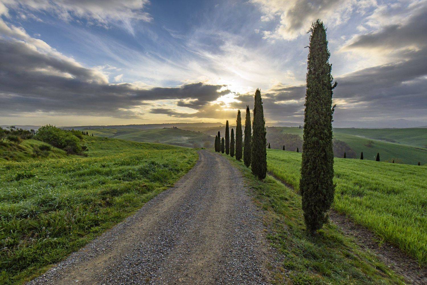 пейзаж, утро, туман, деревья, холмы, восход, италия, тоскана, Дмитрий Старостенков