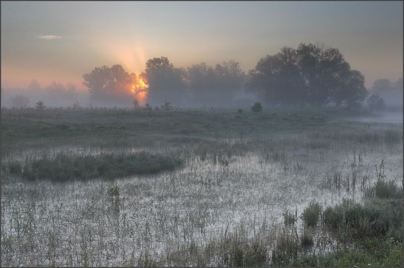 Река Туман Солнце *** фото превью
