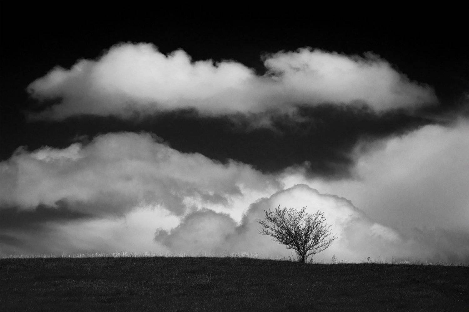 , Роман Рыжков