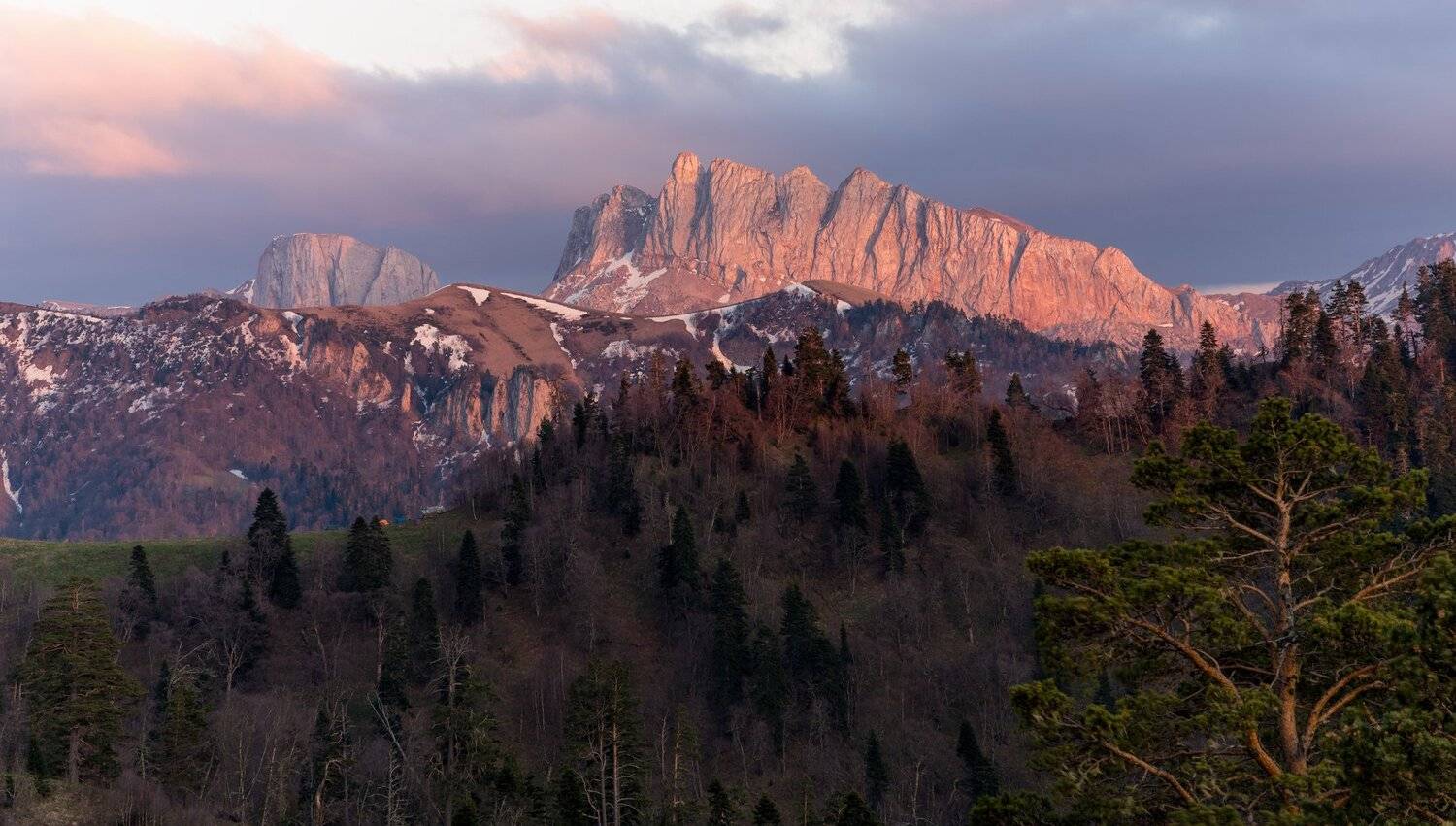 , Alexander Plekhanov