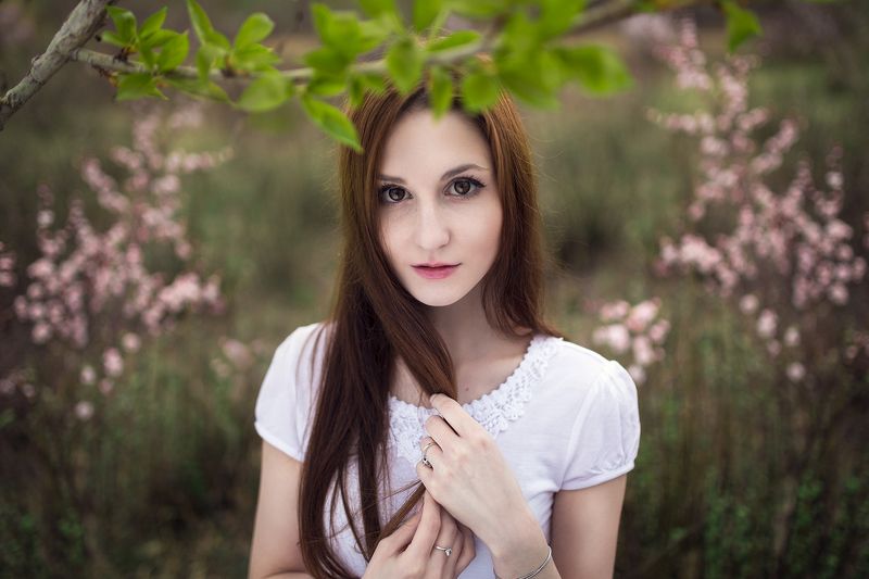 Майский вечер фото превью