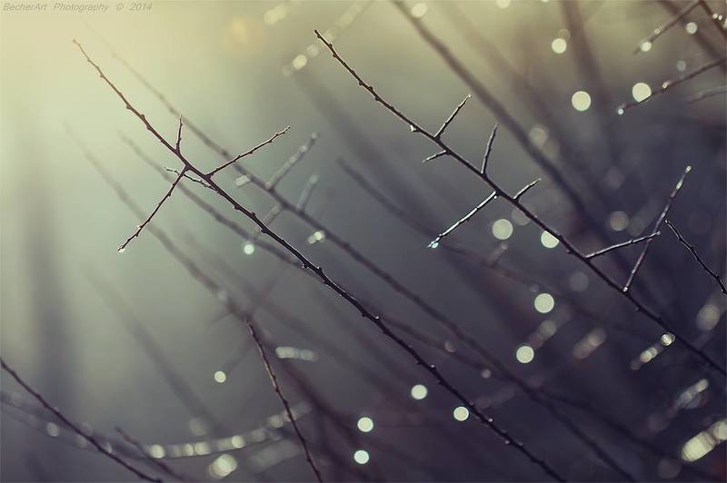 A Gift Of Enlightenment I фото превью