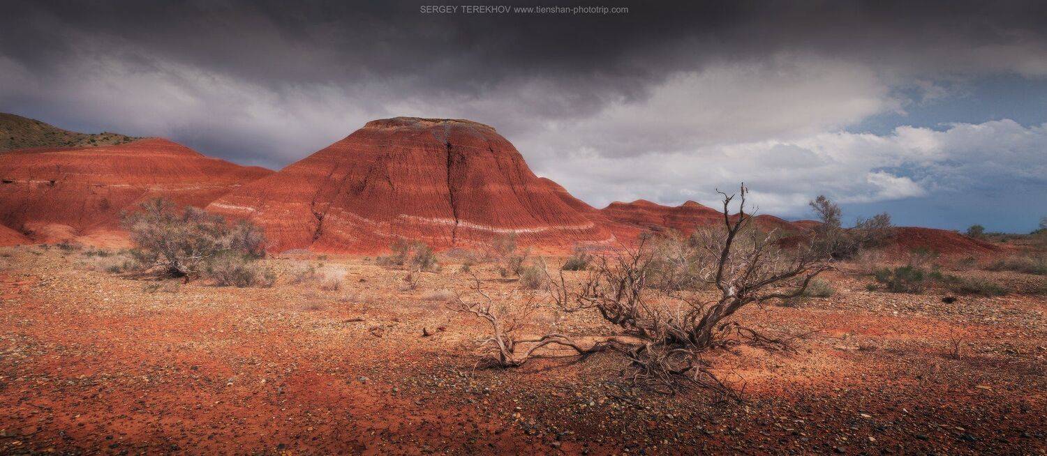 #?горы_Актау? ?#?Алтын_Емель?, #?фотографии_Казахстана? ?#?фото, ?горы_Актау?, ?фототуры? по Казахстану, Алтын Емель?, Горы Актау, НацПарк Алтын Емель, Фотографии казахстана, Фотографии Казахстана?, Фототуры по Казахстану, Сергей Терехов