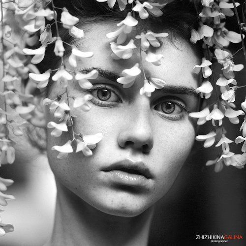 Blossom