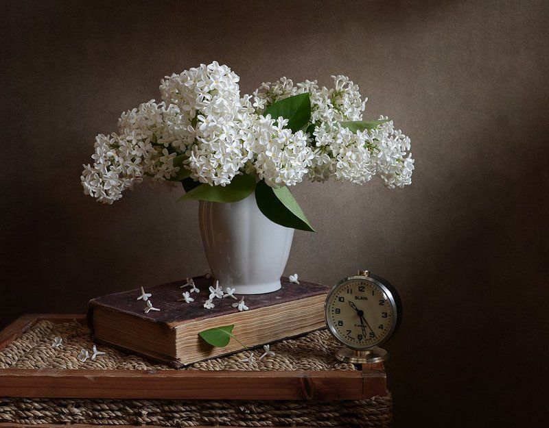 натюрморт, весна, сирень Белая сирень фото превью