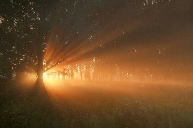 Утречко фото превью