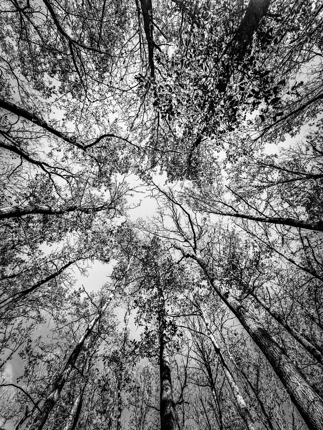 , Шилов Александр