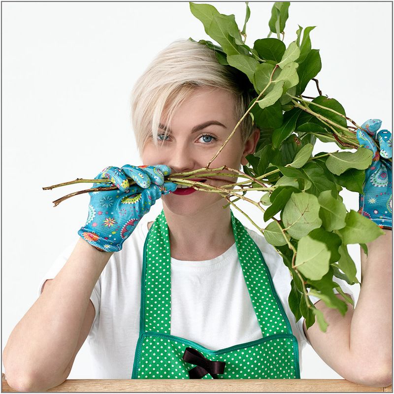 фото превью