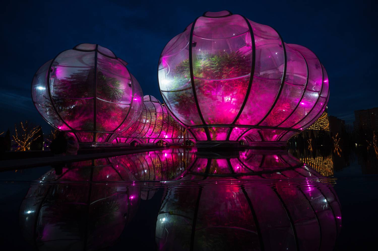 , Сергей Тихомиров