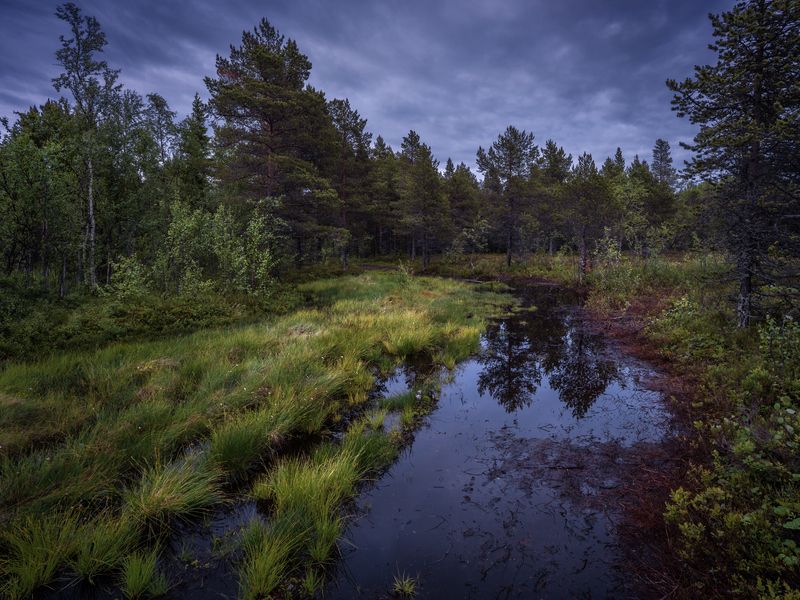 Болотный тракт фото превью