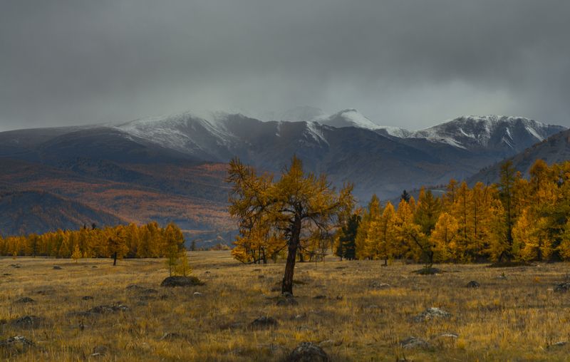 россия, горный алтай,осень, утро, степь Погода испортилась фото превью