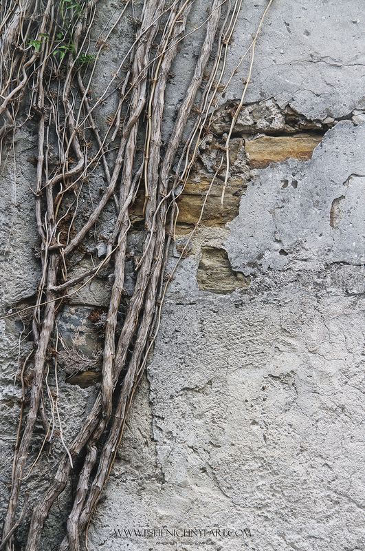 европа, средневековье, стены, ветви, живопись, минимализм, время Линии жизни фото превью