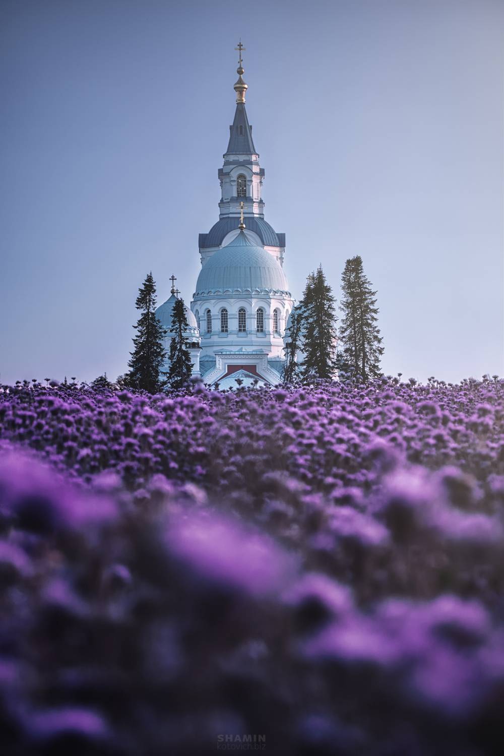 , Константин Шамин