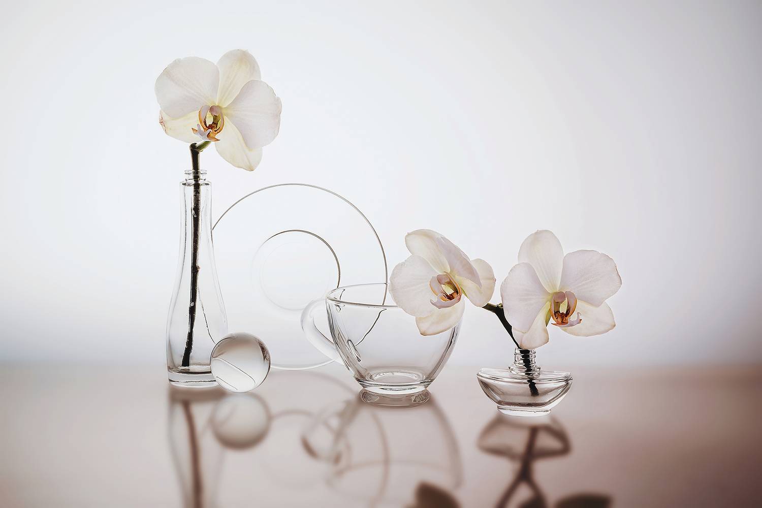 , MVO (Марк Орлов)