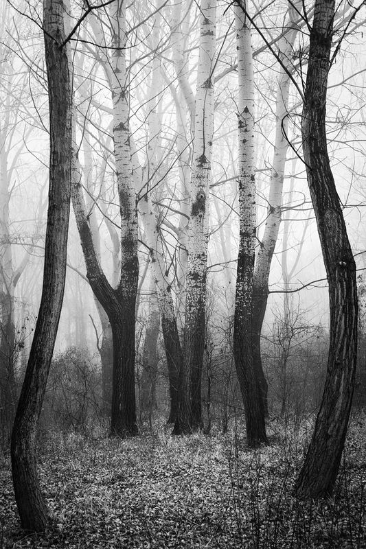 2017 фото превью